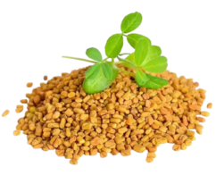 250-n-fenugreekseed-250gms-naturewell-original-imafp7aabzky5az6-removebg-preview