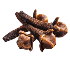 Cloves (1)