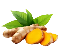 fresh-turmeric