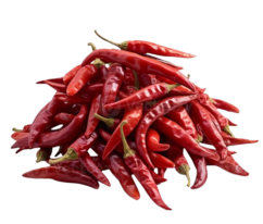 dry-red-chili-peppers-isolated-on-transparent-background-png-removebg-preview