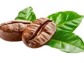 coffee-beans-with-green-leaves