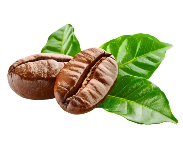 Premium Coffee