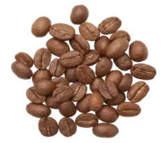 pngtree-isolated-robusta-coffee-beans