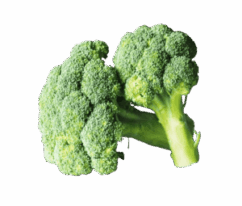 Broccoli-Vegetables