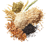 Grains