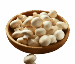 mushroom
