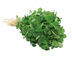 fenugreek-leaves