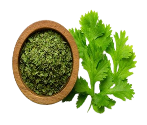 Frozen Coriander Leaves